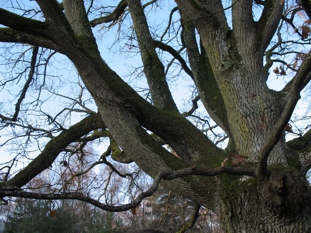 2007 02 Sortie traces 28